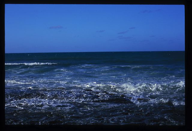 viequesmar2006_016.jpg